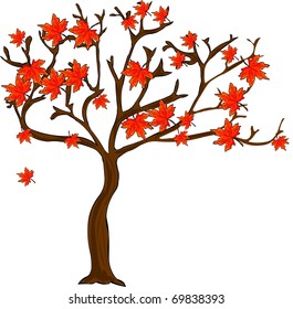 a autumn tree