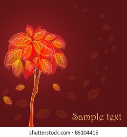 autumn tree