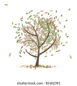 Autumn tree