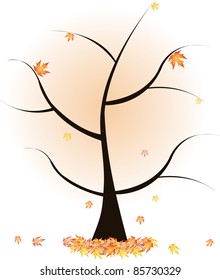 autumn tree