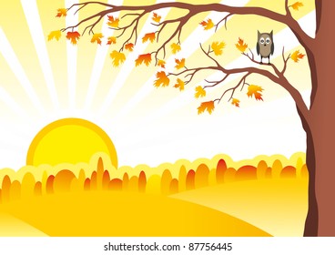 Autumn tree