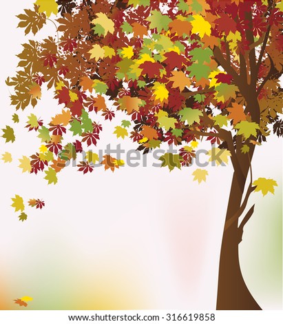 Autumn Tree