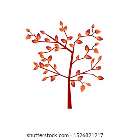 autumn tree against a white background