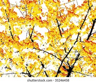 Autumn tree background