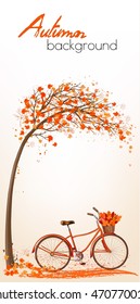 Autumn tree background with bicycle. Vector.