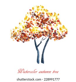 Autumn tree. Autumn background. Watercolor illustration.