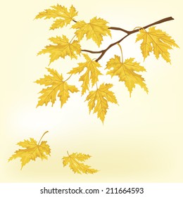 Autumn tree with beautiful flying leaves 