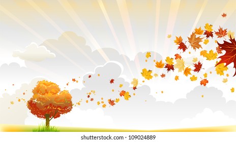 Autumn tree with beautiful swirl of maple leaves