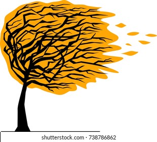 Autumn tree bent by the wind