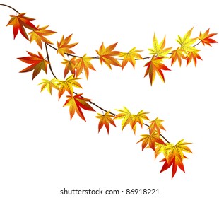 Autumn tree branch