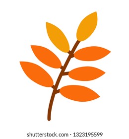autumn tree branch flat simple illustration. Home and kitchen series. Tableware food and dishes.
