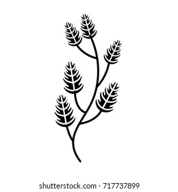 autumn tree branch leaves foliage botanical image