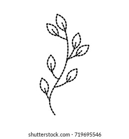 autumn tree branch leaves foliage botanical image