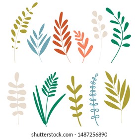 Autumn tree branches. September fall. Vector botanical decorative illustration. Colorful leaves. Hand drawn set. Simple cartoon flat style, vector illustration.