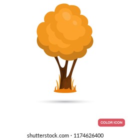 Autumn tree color flat icon