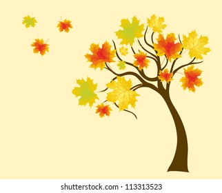 autumn tree with colorful leafs of maple, background for design