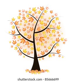 autumn tree with colorful leaves