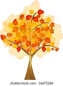 autumn tree with colourful leafs