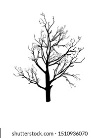 Autumn tree with dry branches without leaves, vector