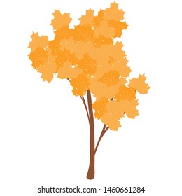 Autumn tree. Elements on white background. Drawing for menu, catalog, restaurant, cartoon, game, kitchen. Vector illustration