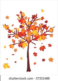 Autumn tree with falling leafs