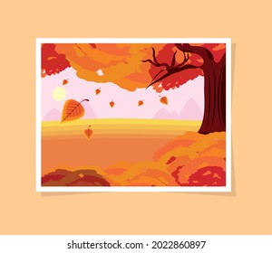 autumn tree falling leaves picture
