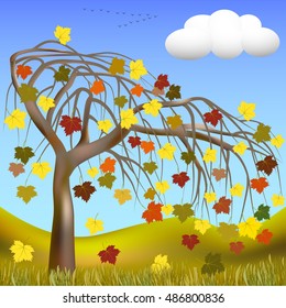 Autumn tree, flock of birds