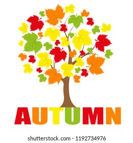 Autumn Tree icon

