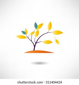 Autumn tree icon