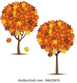 Autumn tree icon set isolated on white. VECTOR