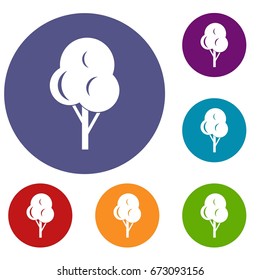 Autumn tree icons set in flat circle reb, blue and green color for web