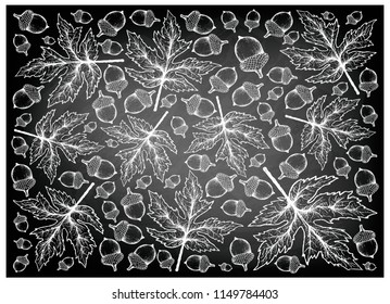 Autumn Tree, Illustration Wallpaper Background of Hand Drawn of Beautiful Maple Leaves and Oak Nuts on Black Chalkboard. Symbolic Tree to Show The Signs of Autumn Season. 