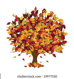 Autumn tree (isolated)