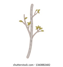 autumn tree isolated icon