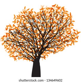 Autumn tree, isolated on white