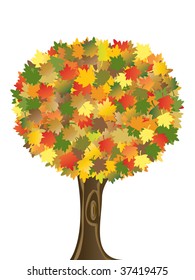 Autumn tree isolated on white