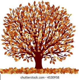 autumn tree isolated on white