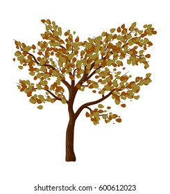 Autumn tree isolated vector symbol icon design. Beautiful illustration isolated on white background
