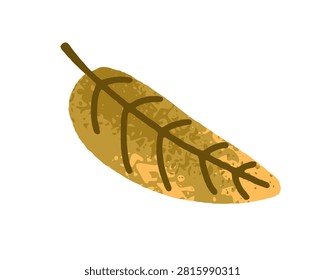 Autumn tree leaf. Dry textured seasonal decoration. Fallen foliage, botanical design element, natural fall forest decor, clip art. Flat vector illustration isolated on white background