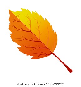 Autumn Tree Leaf. Fall Collection. Vector illustration.