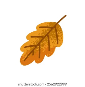 Autumn tree leaf. Forest fall seasonal decoration. Botanical natural floral design element. Autumnal decor, foliage clip art. Colored flat vector illustration isolated on white background