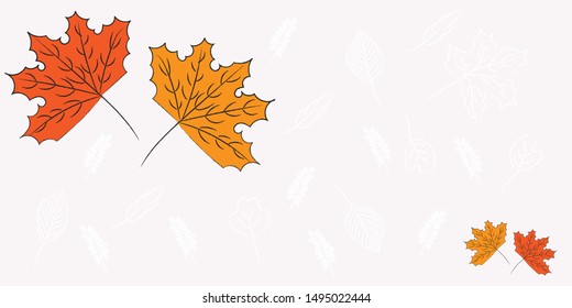 Autumn tree leaves, Colorful maple leaf  for nature background.