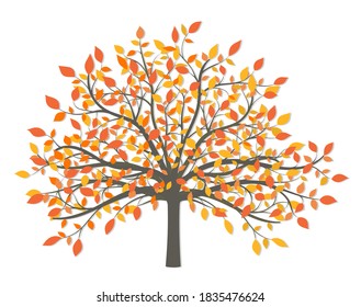 Autumn tree with leaves of different colors on a white background