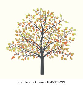 Autumn tree with leaves and fruit on a light background
