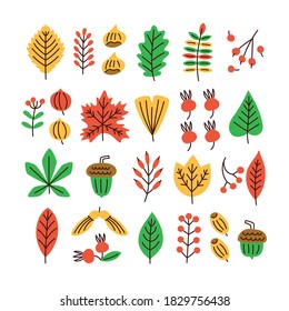 Autumn tree leaves and plants vector set. Collection of colorful garden leaves. Symbol of season.