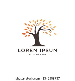 Autumn tree logo template