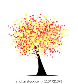 Autumn tree, maple