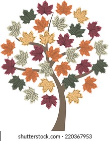 autumn tree maple