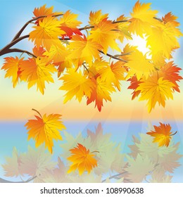 Autumn tree maple with flying leaves on background of sunset, beautiful nature landscape, vector illustration.