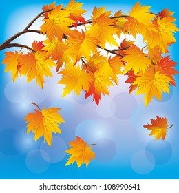 Autumn tree maple with flying leaves on blue background, beautiful nature landscape. Vector illustration.